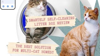 SMARTELF SelfCleaning Litter Box Review – The Best Solution for MultiCat Homes [upl. by Yonah]