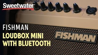 Fishman Loudbox Mini with Bluetooth Overview [upl. by Gayel405]