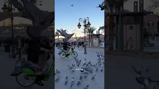 CAREEM BIKE MADINAH [upl. by Marjy]