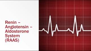 ReninAngiotensinAldosterone System [upl. by Eelrebmyk500]