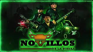 Novillos De La Sierra 2024  Grandes Exitos  Puros Corridos Mix [upl. by Aimej]