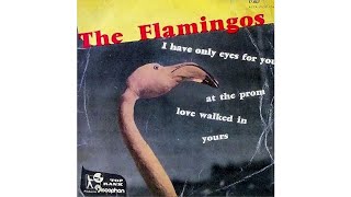 The Flamingos  I Only Have Eyes For You 1959 [upl. by Neville29]