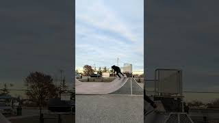 Fakie BS Feeble Stall On Mini Ramp [upl. by Salokcin]