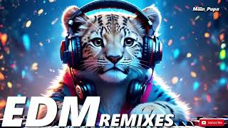 Music Mix 2024 🎧 EDM Mixes of Popular Songs 🎧 EDM Bass Boosted Music Mix🎧 Best Gaming Music 2024 17 [upl. by Baniez]