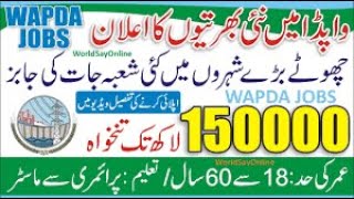 Wapda jobs in Pakistan latest  How to apply wapda job 2024  New Govt job in Pakistan [upl. by Norah]