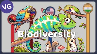 The Most Biodiverse Countries in the World [upl. by Ladnyc]