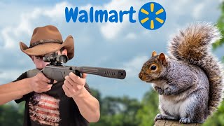 Hunting with Walmarts 100 Air Rifle Hunting Challenge [upl. by Ronal]