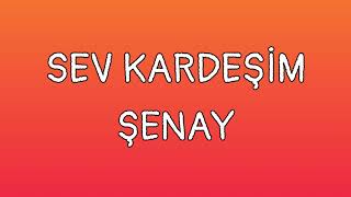 Sev Kardeşim Sözleri Yazılı Lyrics Şenay [upl. by Agneta]