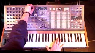 Arturia presents MatrixBrute Analog AvantGarde [upl. by Snehpets]