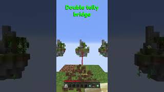 DOUBLE TELLY BRIDGE [upl. by Jerrome]