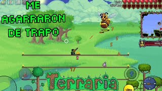 NOS HUMILLA LA REINA ABEJA TERRARIA [upl. by Anitnas]