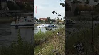 Elbe River Ferry Germanyshorts [upl. by Isaacson]