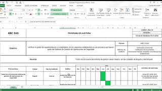 Ejemplo Programa de auditoria [upl. by Muna]