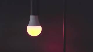 Meross MSL120 Smart Led Bulb [upl. by Oslec]