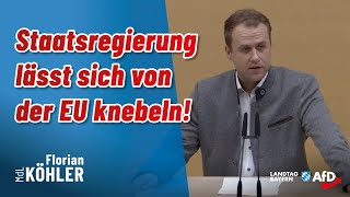 Staatsregierung lässt sich von der EU knebeln [upl. by Llevron937]