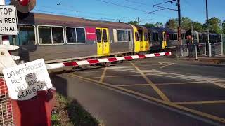 Queensland Trains at Lawnton and Narangba 10012018 [upl. by Gerk]