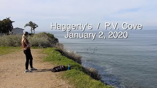 010220 Surfing Haggertys and P V Cove 6m33s Live from the clifftops [upl. by Eiramanitsirhc718]