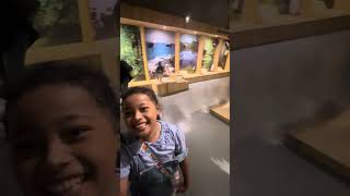 Keseruan di museum animalium part 1 [upl. by Sufur285]