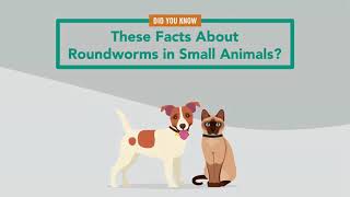 Roundworms in Small Animals  Merck Veterinary Manual [upl. by Aihc]