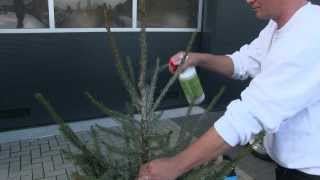 AlfaSTOP kerstboom impregneer voor particulier gebruik instructie  tutorial [upl. by Hollenbeck]