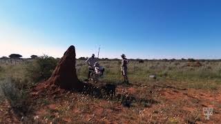 Termite mounds in Namibia inspire energyefficient buildings [upl. by Bethesde]