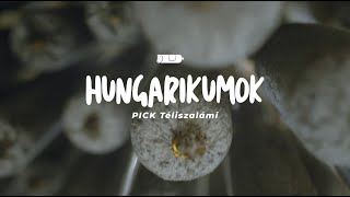 Hungarikumok  PICK Téliszalámi [upl. by Ragen]