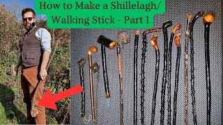 How to Make a ShillelaghWalking Stick Part 1 Finding Cutting and Seasoning [upl. by Lorna782]