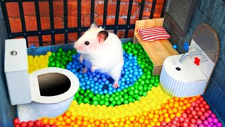 Hamster Escapes the Awesome Maze for Pets in real life 🐹 The Best Hamster Challenges [upl. by Latreese]