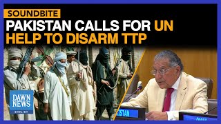 Pakistan Calls for UN’s Help to Disarm TTP  Dawn News English [upl. by Jer44]