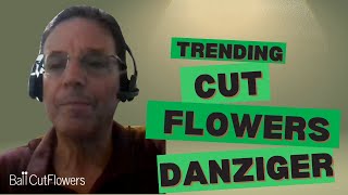 Trending Cut Flowers from Danziger for 20242025 [upl. by Onia]