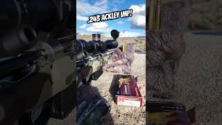 Some fireforming and quick sightin with the 243 Ackley Improved PristineAction Hornady 243AI [upl. by Kerge517]