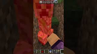 Minecraft Melon Farm 121shorts 😊😊😊 [upl. by Gradey]