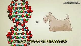 O que é DNA e Como ele Funciona [upl. by Chil]