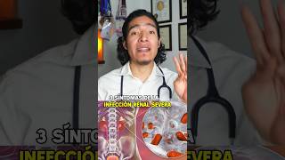 ¿Cómo se presenta una infección renal severa pielonefritis medicina [upl. by Venetia878]