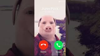 JOHN PORK IS CALLING 1 Hour [upl. by Annairba]