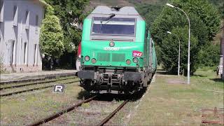 Croisement du Cévenol et du train de bois à Villefort le 23 juillet 2024 [upl. by Amelita]