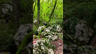 Monks Path In Woods  Ostrog Orthodox Monastery  Montenegro [upl. by Blaine51]