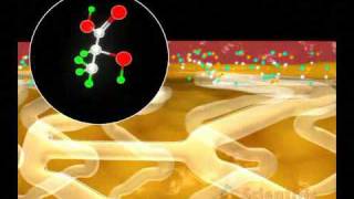 Cardiology  Drug Eluting Stent [upl. by Kannan]