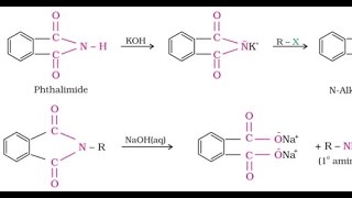 Gabriel phthalimide synthesis  for IIT JEE NEET AIIMS and Board Exams [upl. by Daegal]