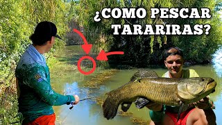 Curso de Pesca con Señuelos  Clase 5  Tarariras [upl. by Ordnasela]