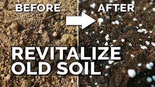 2 Easy Methods to Revitalize OLD Potting Soil [upl. by Narcis]