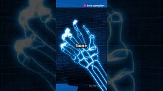 Learn Human Body Bones with Fun Mnemonic anatomystudy aceyourexams anatomymastery [upl. by Akihc]