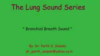 Breath Sound  Bronchial vs Vesicular [upl. by Drofdeb970]