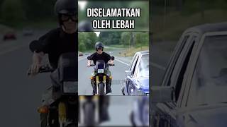 DISELAMATKAN LEBAH [upl. by Ytsirhc]