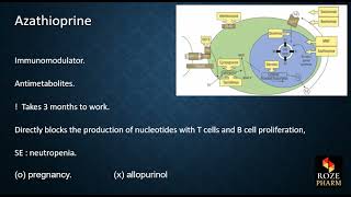 Chp 5 Azathioprine immunosuppressant antimetabolite kidney reject organ transplant roze pharm [upl. by Golliner279]