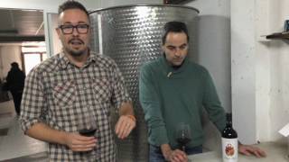 Frontonio The garage wines para Club Vignerons  BODEBOCA [upl. by Hugibert62]