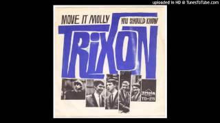 TRIXON Move It Molly SWEDISH GARAGE freakbeat MOD DANCER [upl. by Osnofla929]