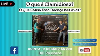 O que é Clamidiose [upl. by Pietje]