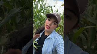 Elotes cocidos🌽♥️zacatecas rancho vidaderancho rancho ranchlife campo vidadecampo mexico [upl. by Adiazteb147]