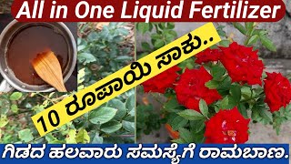 Organic Liquid Fertilizerಹೂವು ಆಗದ ಗಿಡಗಳಲ್ಲಿ ಗೊಂಚಲು ಗೊಂಚಲು ಹೂವು ಮೊಗ್ಗು ಉದುರುವ ಸಮಸ್ಯೆಗೆ ಒಳ್ಳೆ ಉಪಾಯ [upl. by Calendra325]